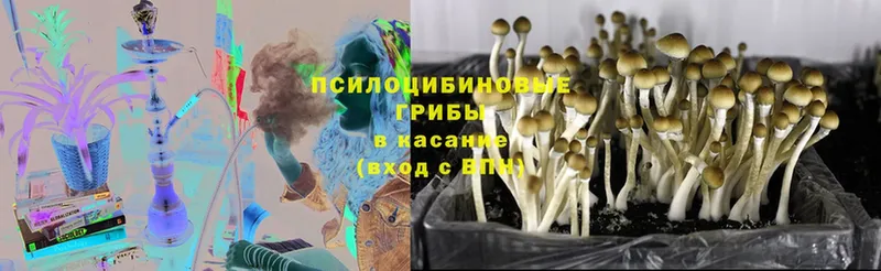 МЕГА как зайти  Ак-Довурак  Галлюциногенные грибы MAGIC MUSHROOMS 